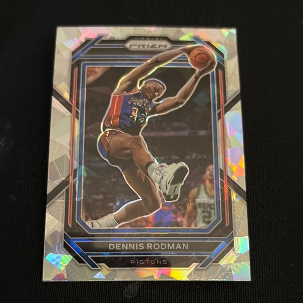 Dennis Rodman Basketball Trading Card